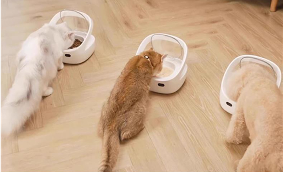 Anti-Steal Smart Feeder - Image 5