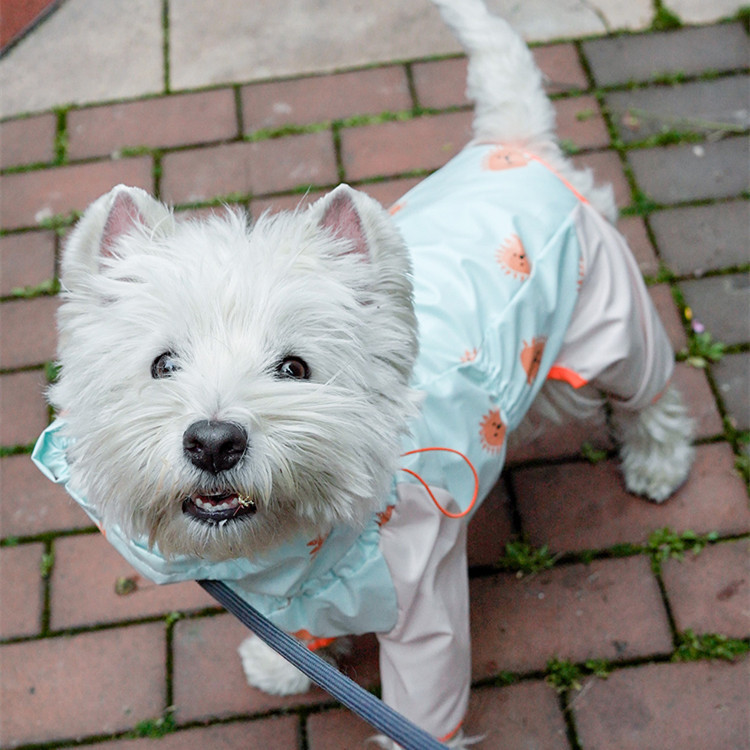 Full-Cover Rain Suit - Image 3