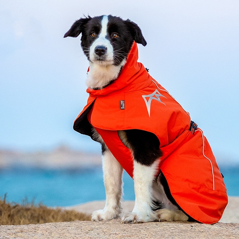 Velvet-Lined Coat - Image 9