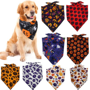 Everyday Drool Bandana