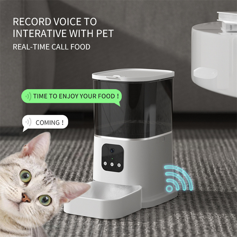 WiFi Voice Feeder