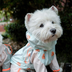 Full-Cover Rain Suit