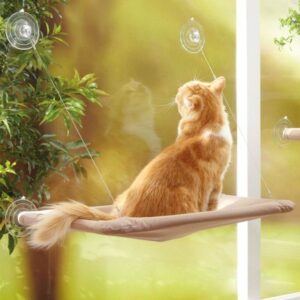 Window Hammock Perch