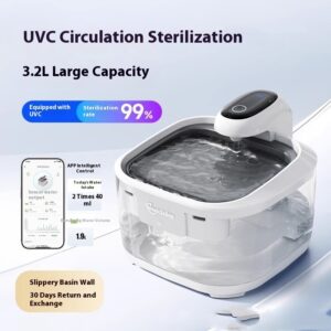 Filtered Cat Water Fountain