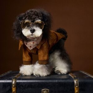 Retro Biker Jacket