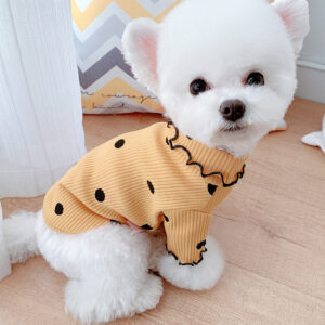 Turtleneck Knit Sweater