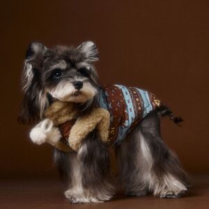 Fair Isle Knit Vest