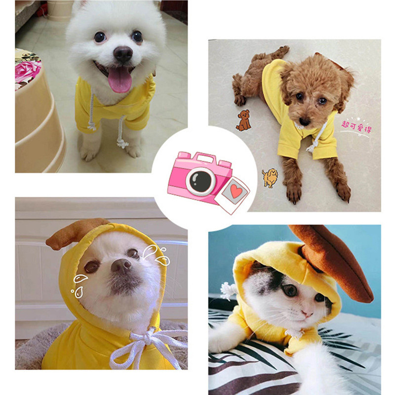 Fruit Fleece Hoodie - Image 8