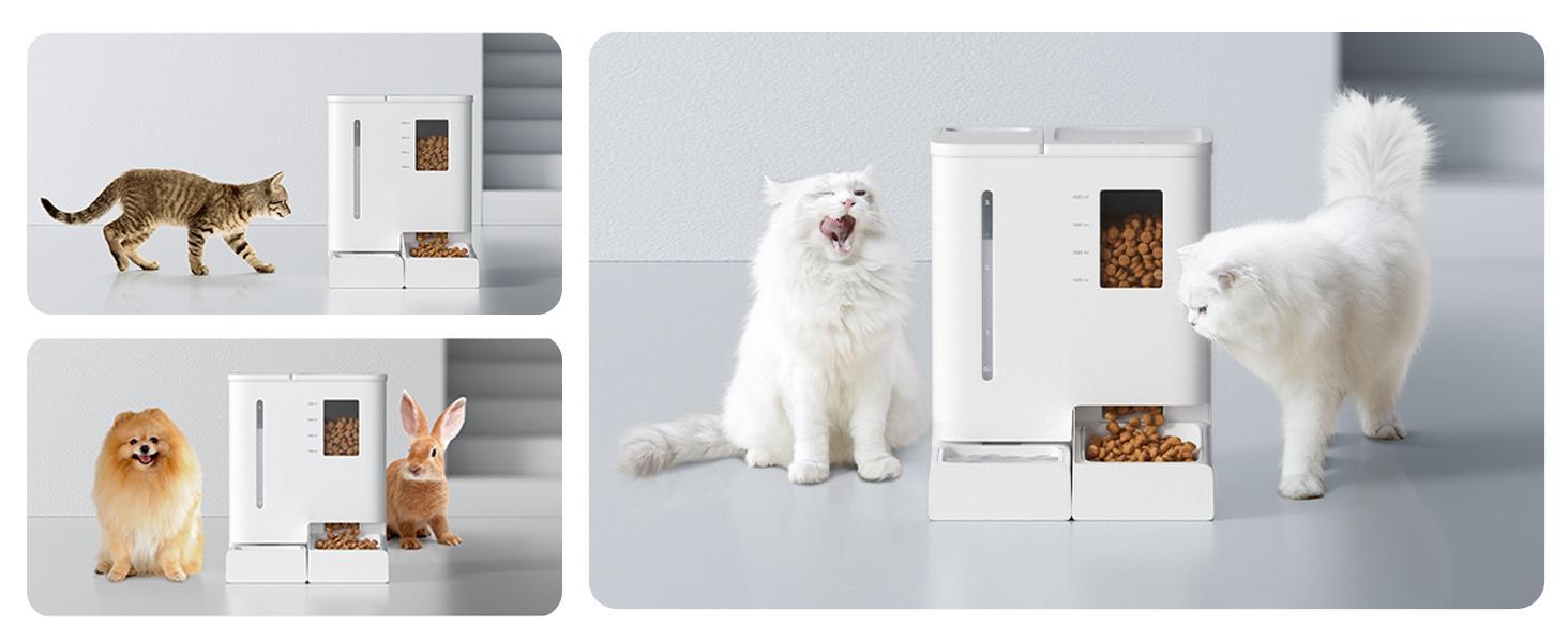 WiFi Feeder & Waterer Set - Image 9