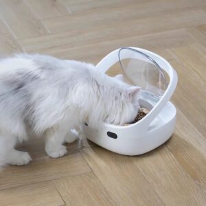 Anti-Steal Smart Feeder