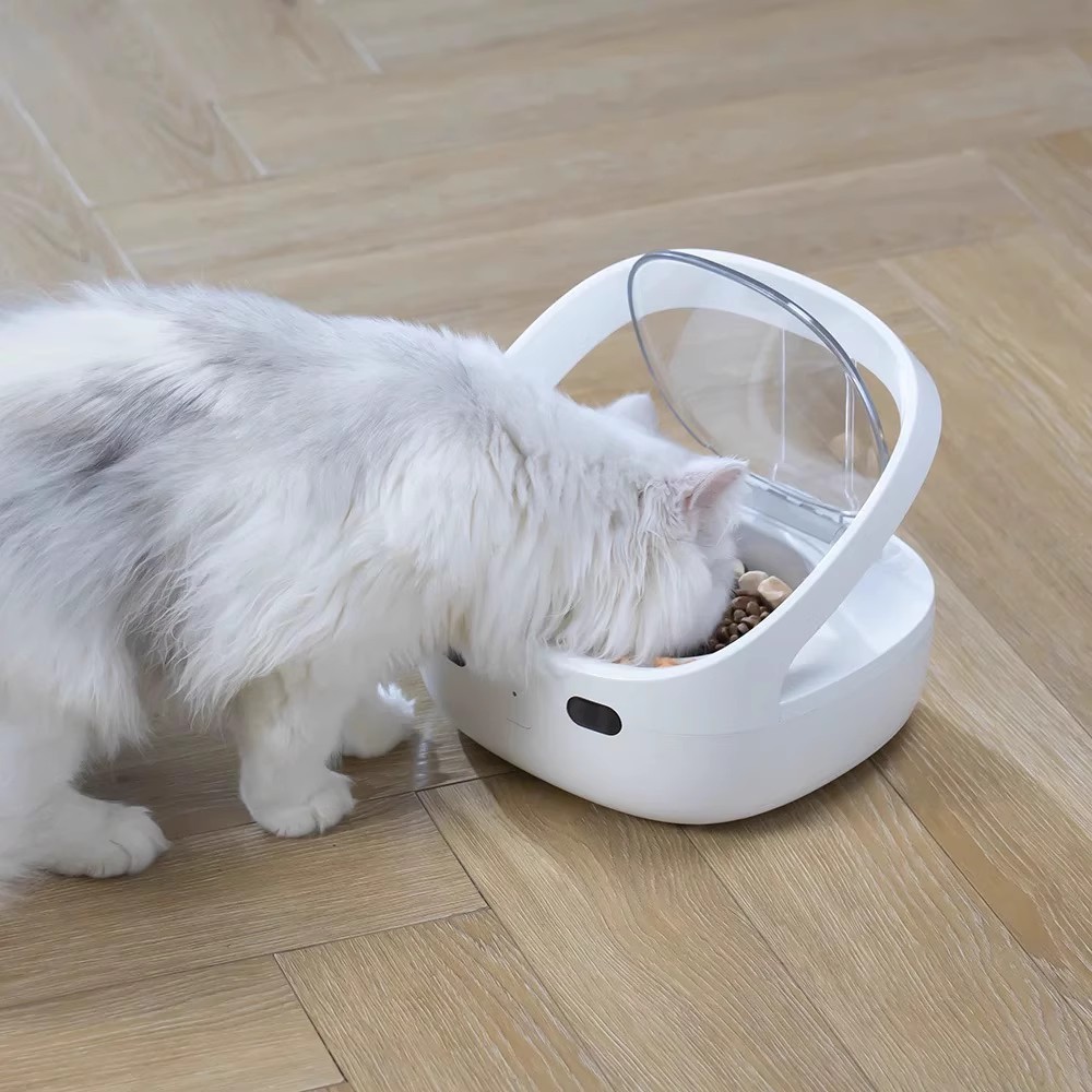 Anti-Steal Smart Feeder