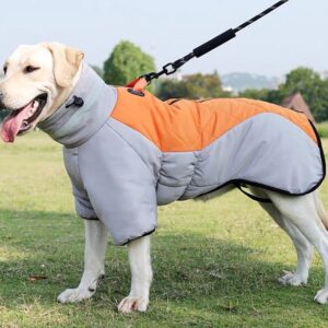 Waterproof Winter Coat