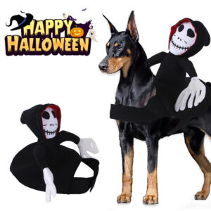 Halloween Pet Costume