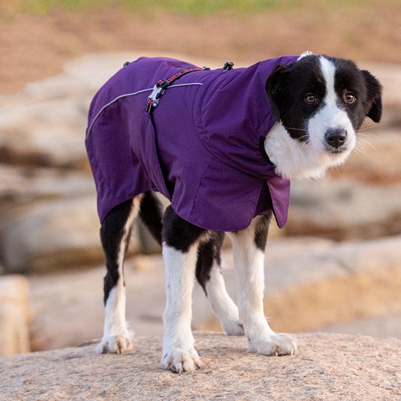 Velvet-Lined Coat - Image 5