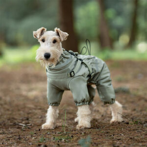Padded Winter Jacket