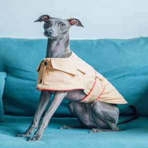 Cotton Day Coat