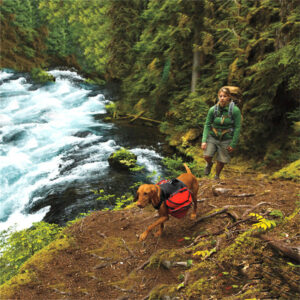 Dog Hiking Backpack