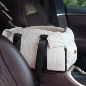 2-in-1 Car Seat & Carrier