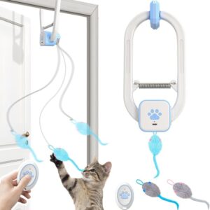 Remote Door Cat Teaser