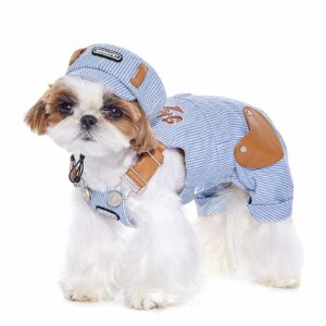 Denim Overall Set
